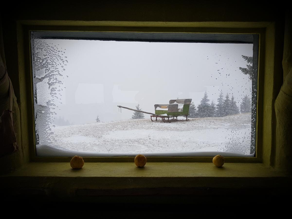 Amfiteatrul Transilvania Villa Moieciu de Jos Dış mekan fotoğraf