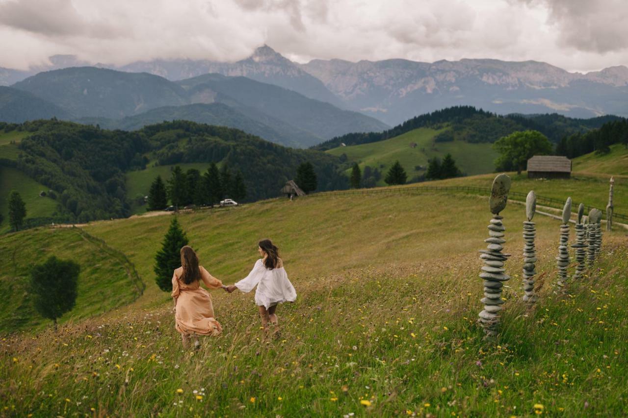 Amfiteatrul Transilvania Villa Moieciu de Jos Dış mekan fotoğraf